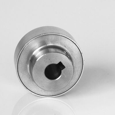 Food Grade Magnetic Drive Pump Sleeve Type Coupling